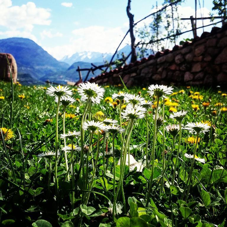 Вилла Agritur Maso Spezial Villa Lagarina Экстерьер фото